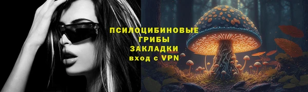 амф Абаза