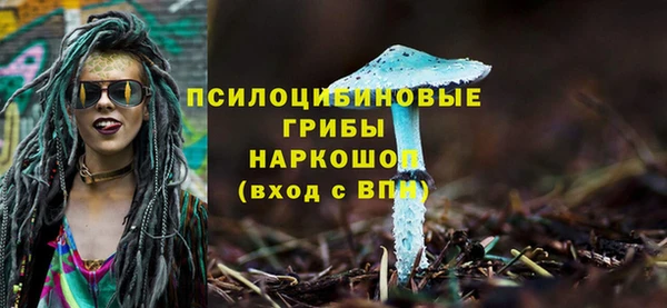 СК Абдулино
