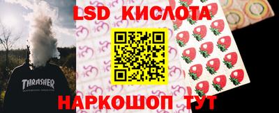 индика Абакан