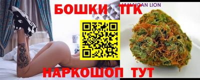 индика Абакан