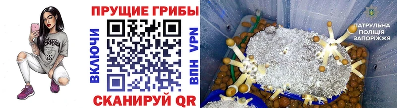 Псилоцибиновые грибы GOLDEN TEACHER  Анапа 