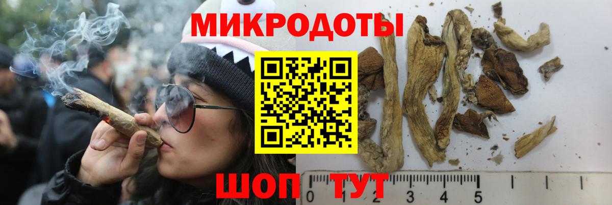Анапа  Галлюциногенные грибы Psilocybine cubensis  Псилоцибиновые грибы мицелий  Вход с VPN 